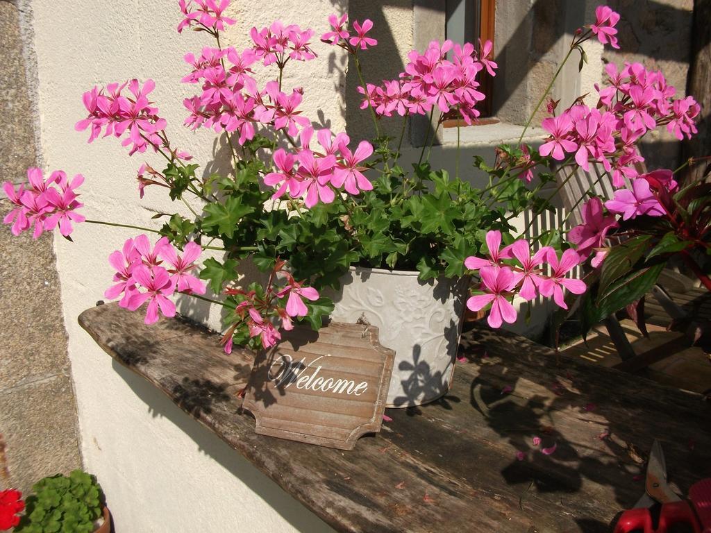 38 Friaudour Bed & Breakfast Saint-Pardoux-lʼOrtigier Екстериор снимка