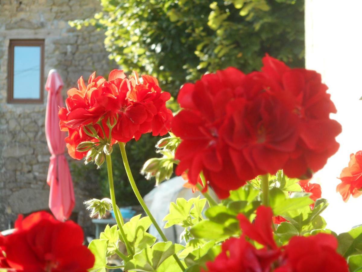 38 Friaudour Bed & Breakfast Saint-Pardoux-lʼOrtigier Екстериор снимка