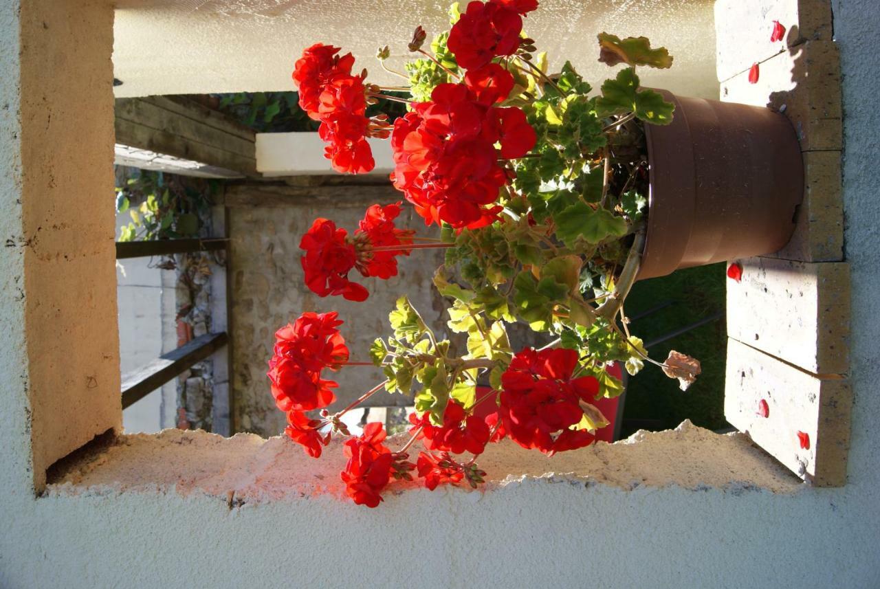 38 Friaudour Bed & Breakfast Saint-Pardoux-lʼOrtigier Екстериор снимка